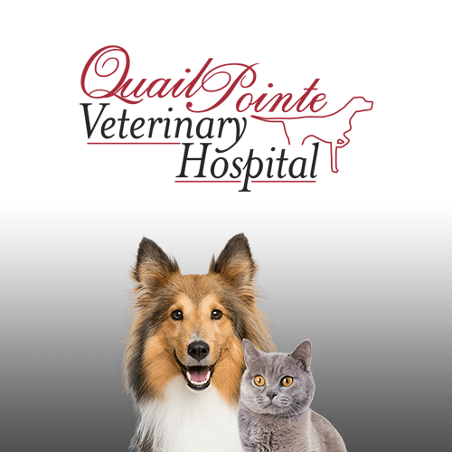 Quail Pointe Veterinary Hospital logo