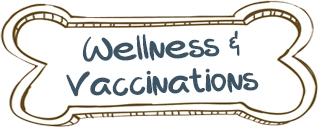 Wellness & Vaccinations