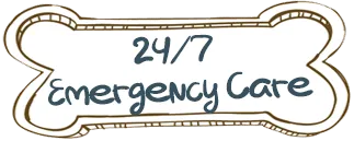 24/7 Emergency Care